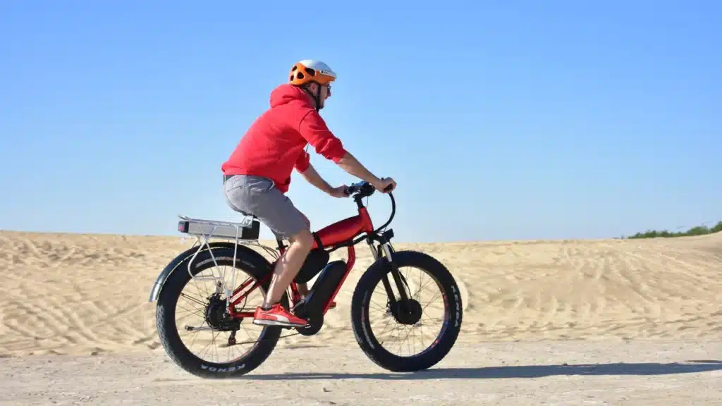 Vivi Electric Bike